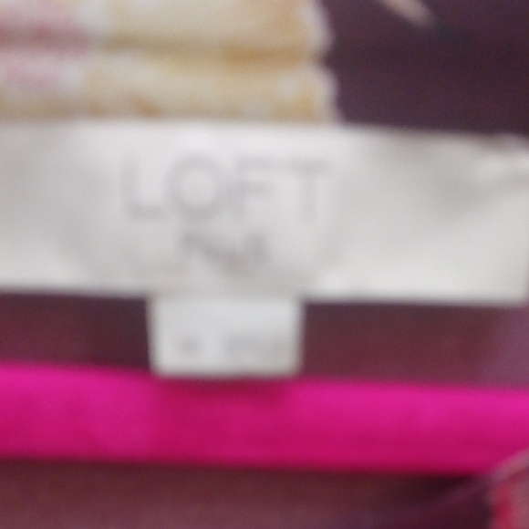 LOFT Pink and Brown Dress - Picture 6 of 10